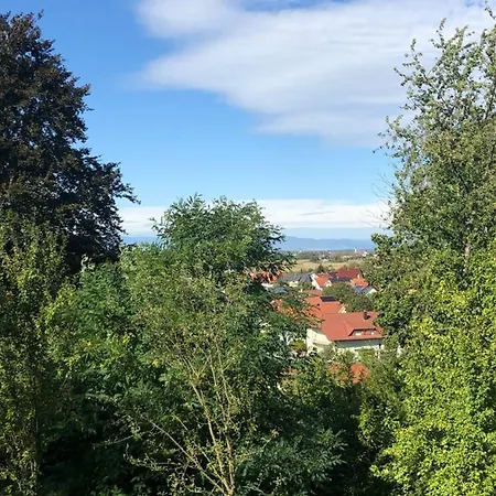 Ruhige Ferienwohnung Mit Ausblick Auf Die Vogesen *